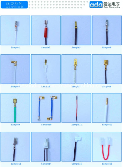 가정용 가전 가전 가전 CE ROHS 저전압 가전 가전 집합 자동차 가전 가전 0